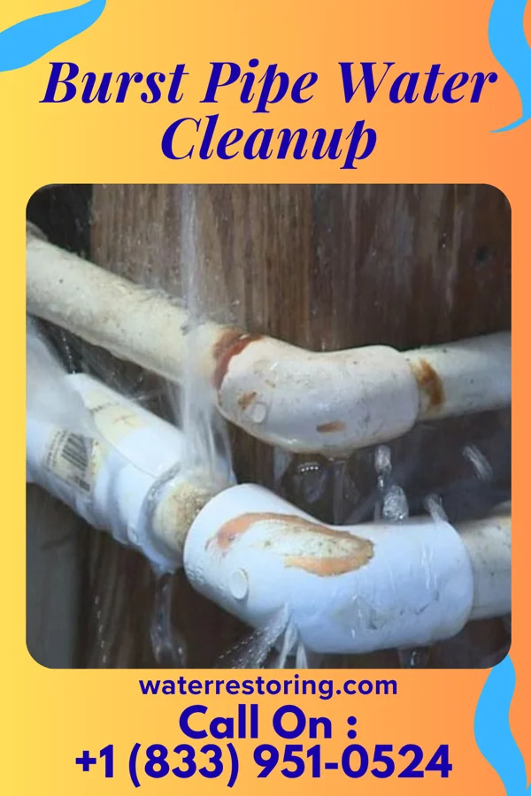 Burst Pipe Water Cleanup in Watsessing, NJ