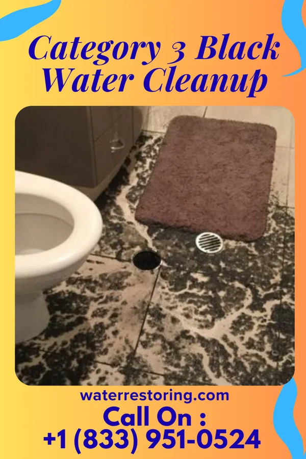 Category 3 Black Water Cleanup in Watsessing, NJ