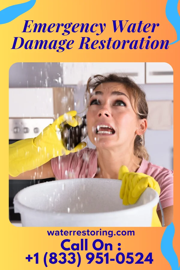 Emergency Water Damage Restoration in Watsessing, NJ