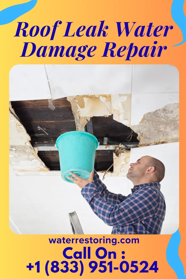 Roof Leak Water Damage Repair in Watsessing, NJ